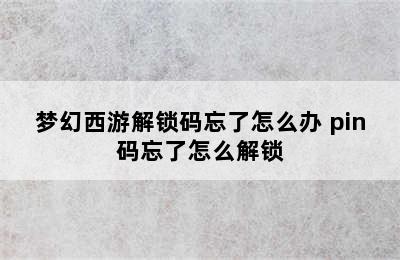 梦幻西游解锁码忘了怎么办 pin码忘了怎么解锁